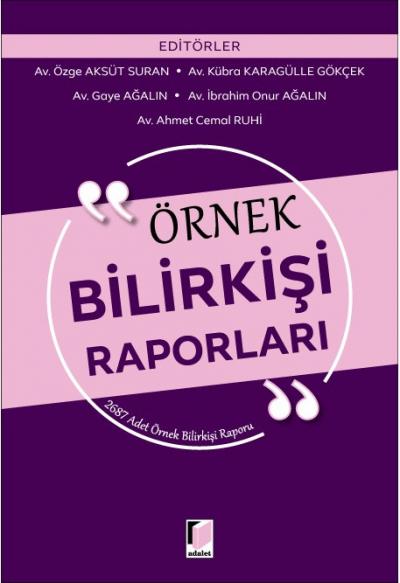 Örnek Bilirkişi Raporları