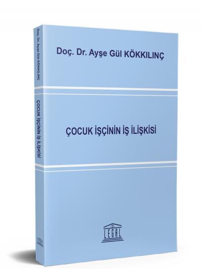 Çocuk İşçinin İş İlişkisi Ayşe Gül Kökkılınç