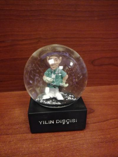 Işıklı Kar Küresi Yılın Dişçisi Erkek WG016