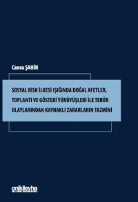 Sosyal Risk İlkesi Işığında Doğal Afetler, Toplantı ve Gösteri Yürüyüşleri ile Terör Olaylarından Kaynaklı Zararların Tazmini